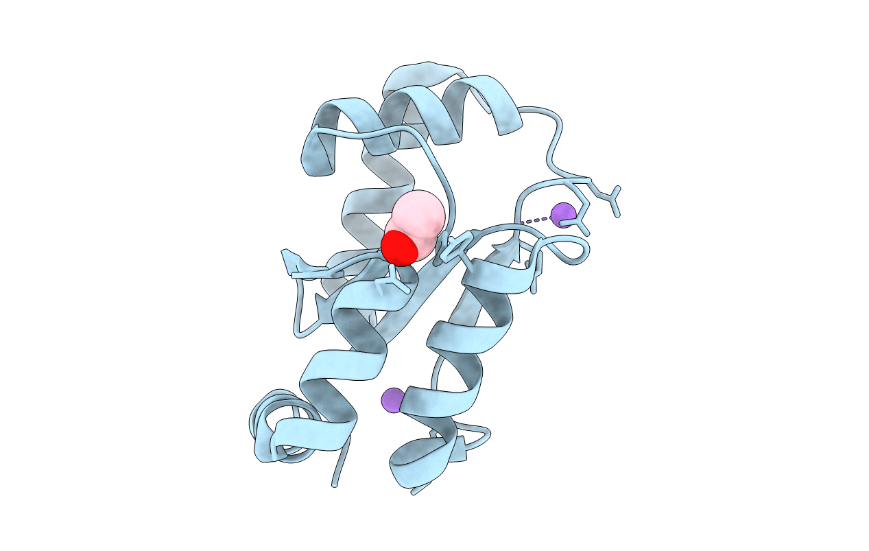 7NCV image