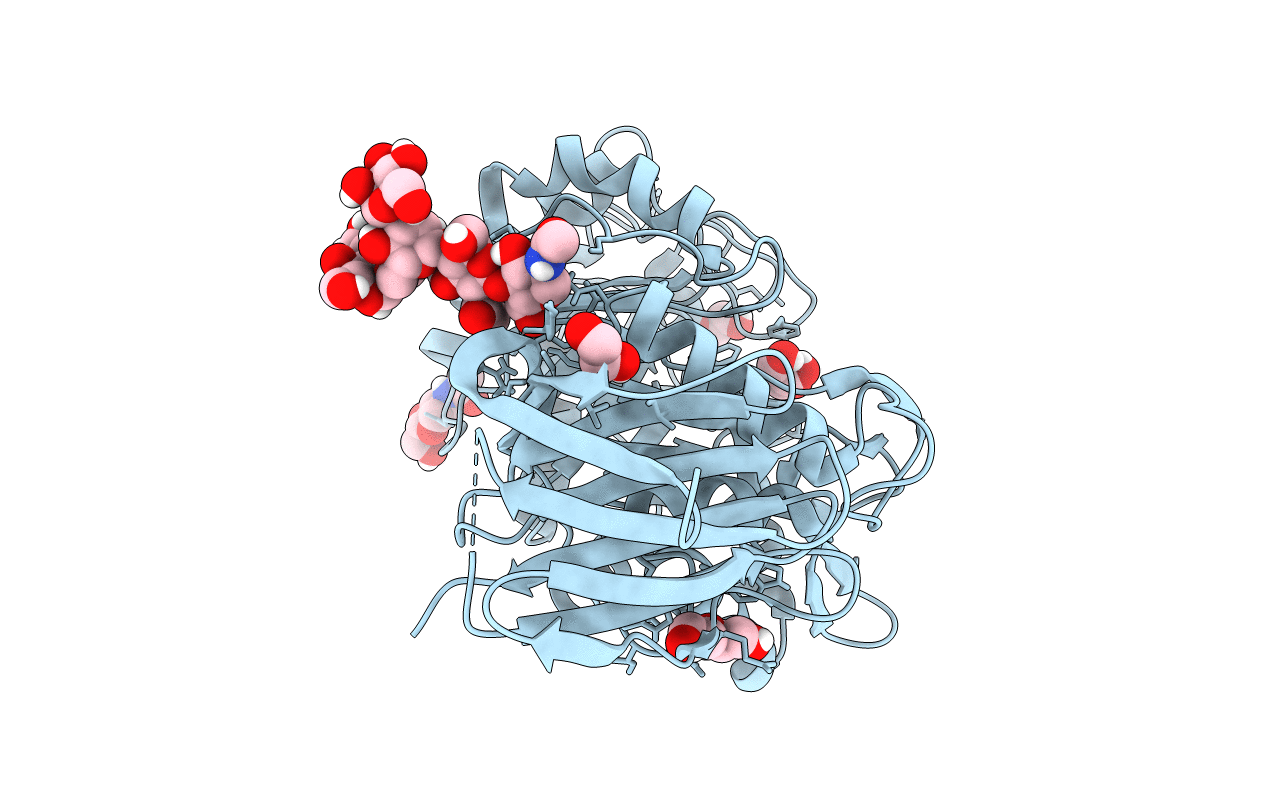 7NCX image