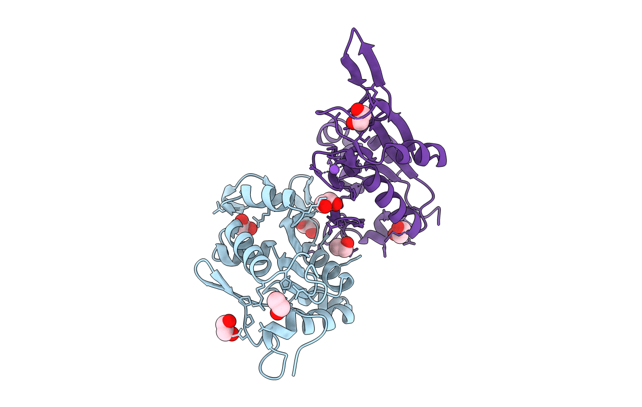 7NDH image