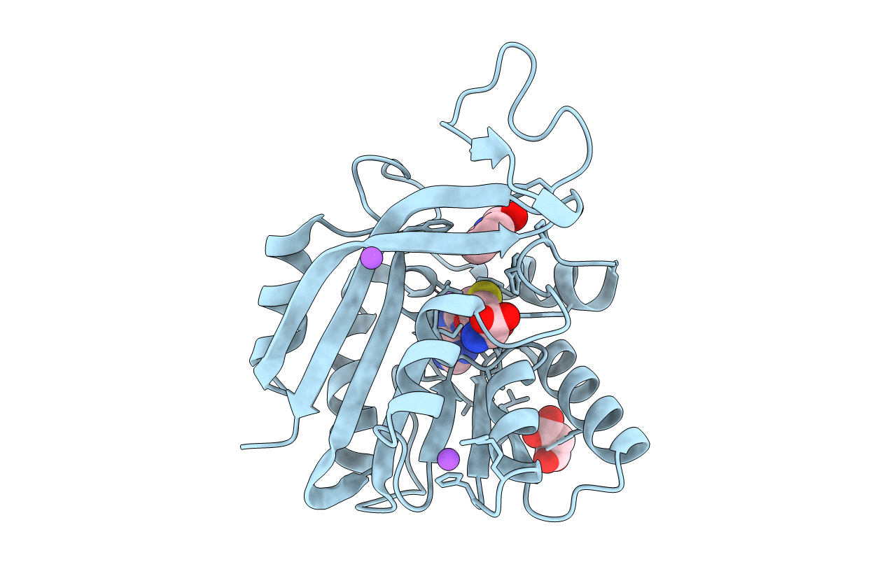 7NDM image