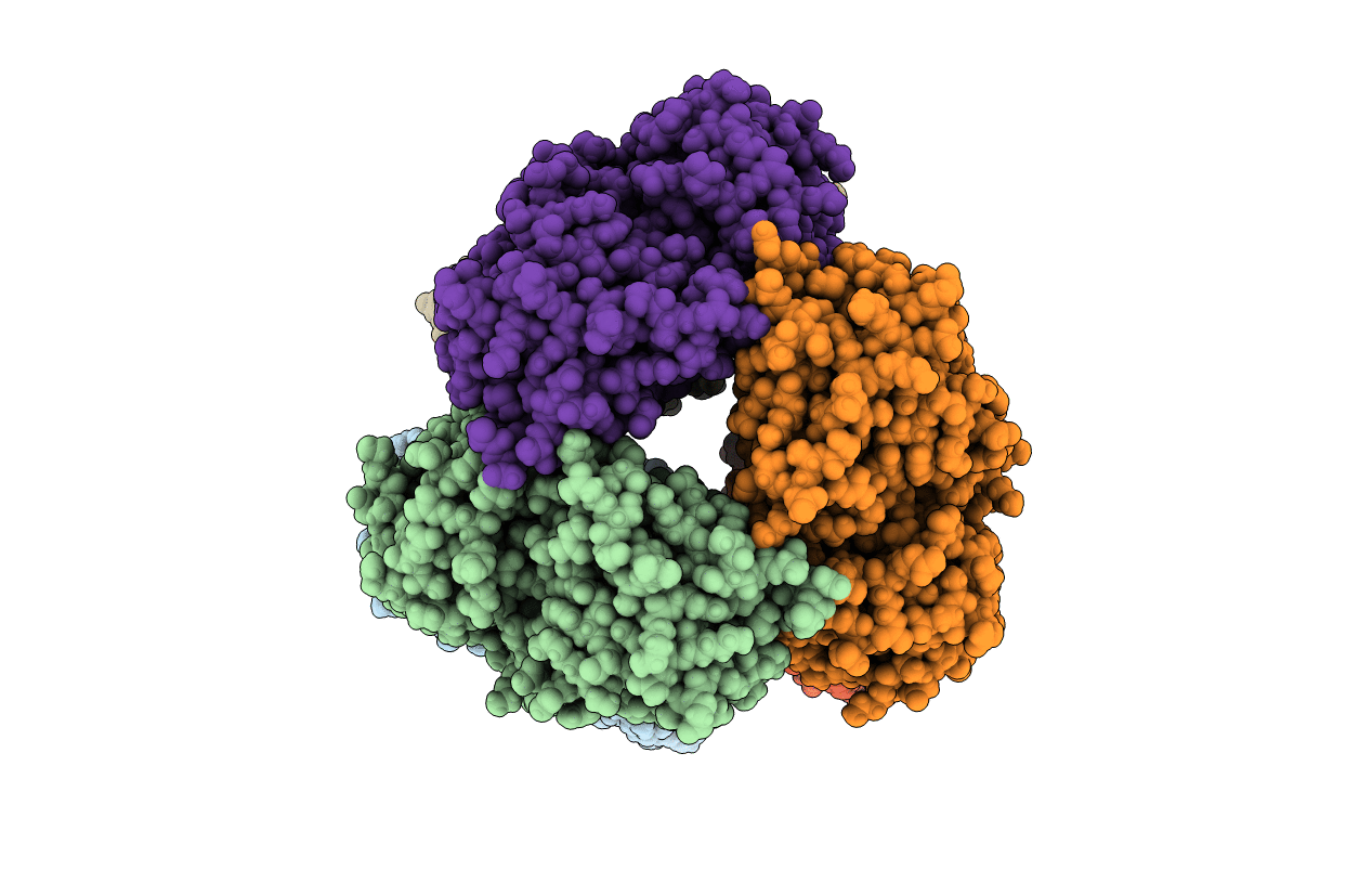 7NDR image