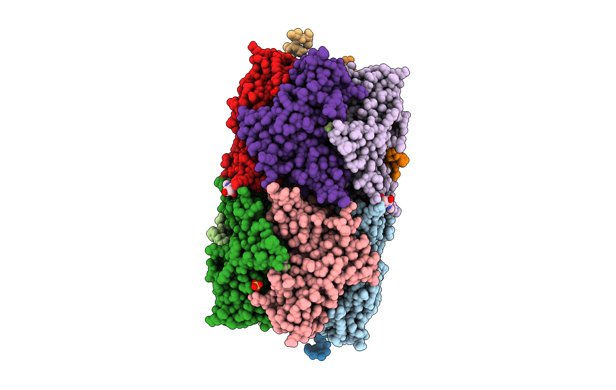 7NDV image