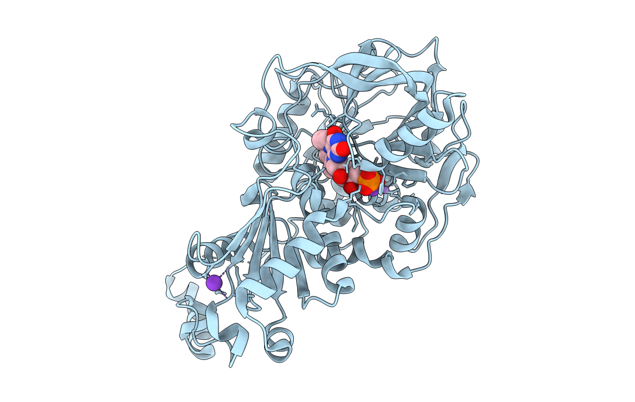 7NF3 image