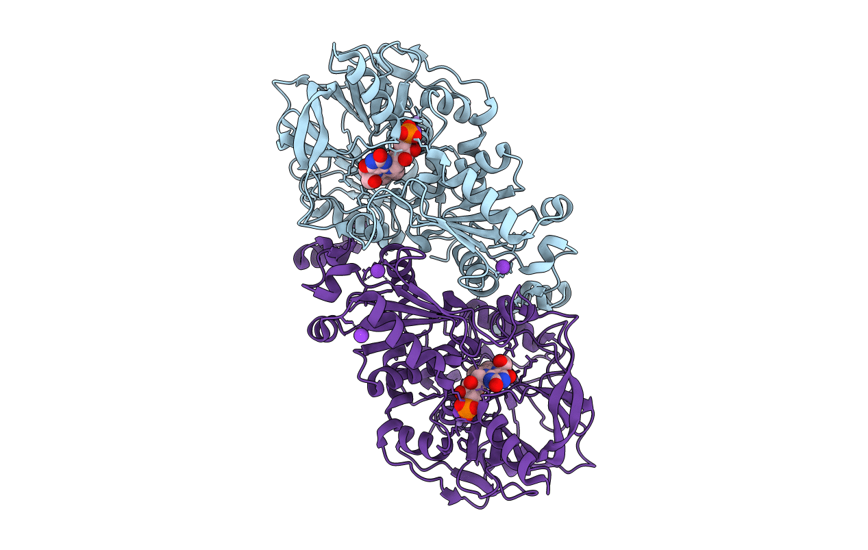 7NF4 image