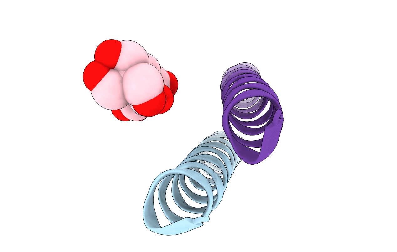 7NFF image