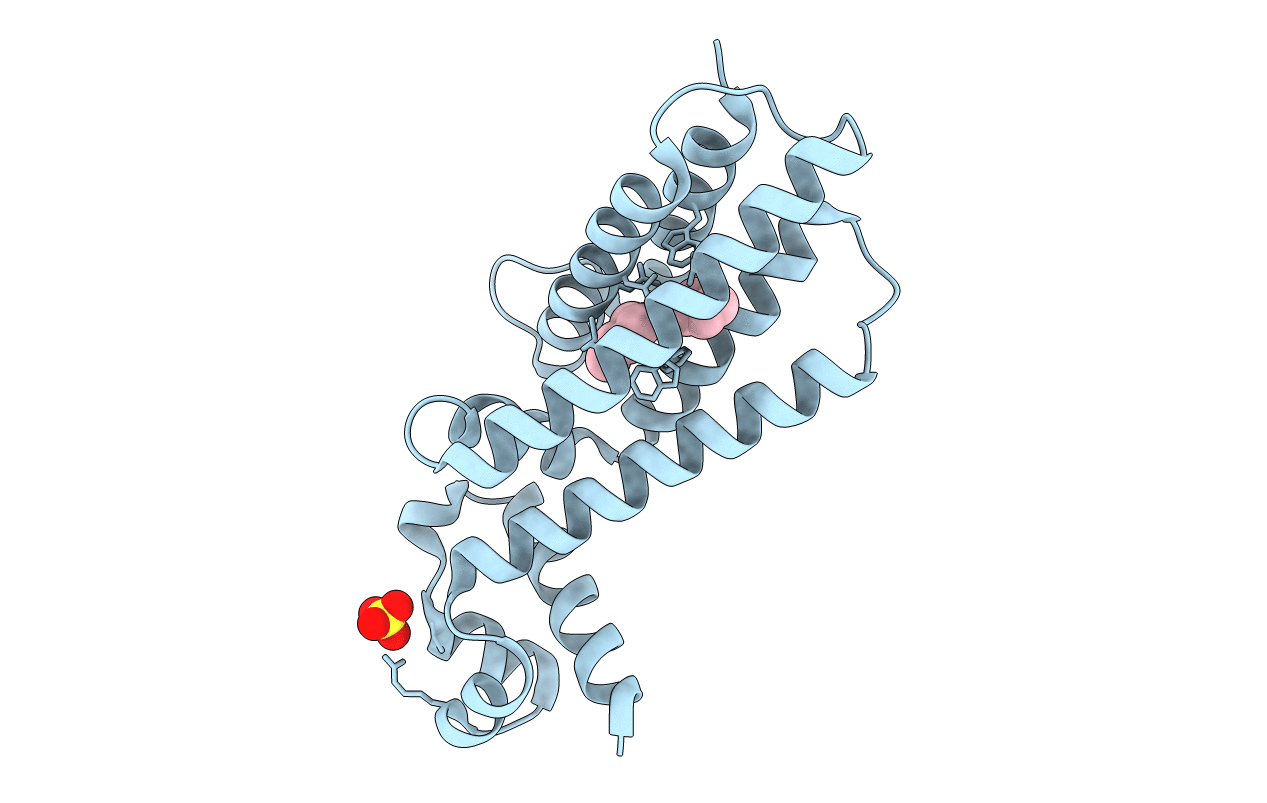 7NGK image