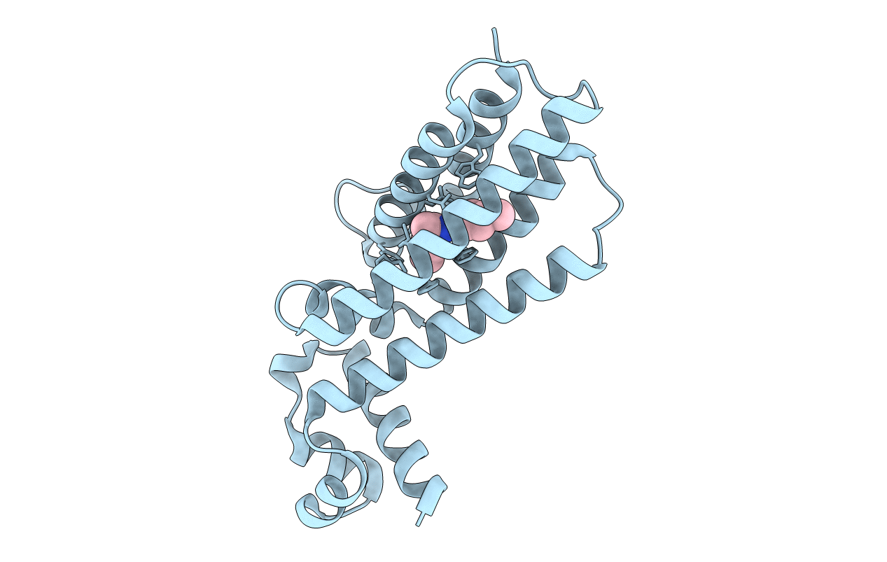 7NGM image