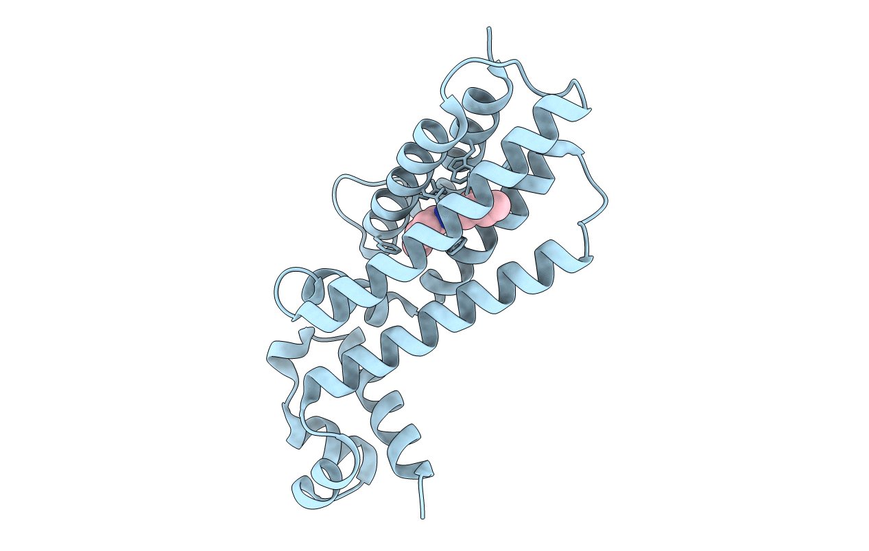 7NGS image