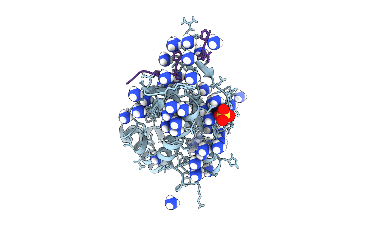 7NLC image