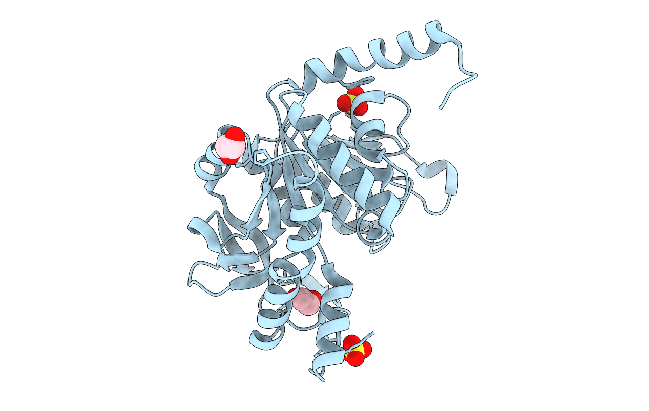 7NLF image