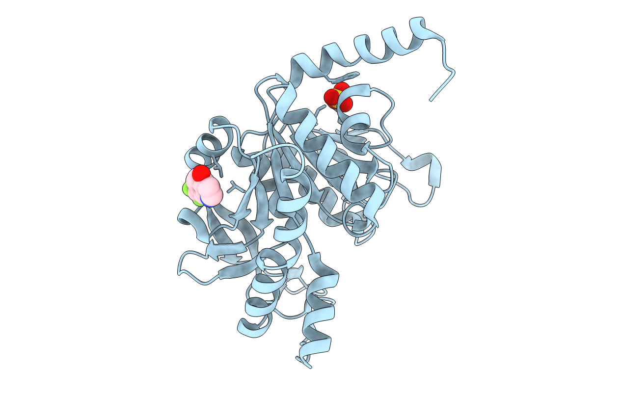7NLX image