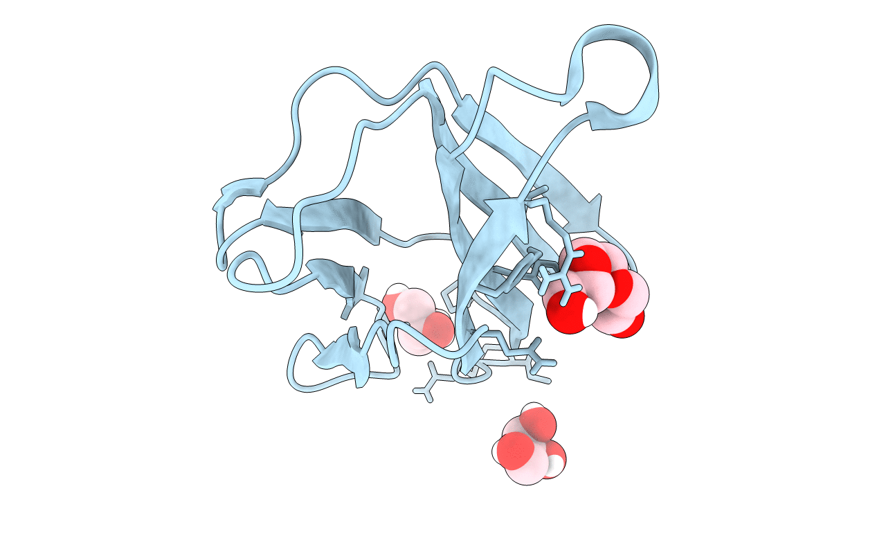 7NMC image