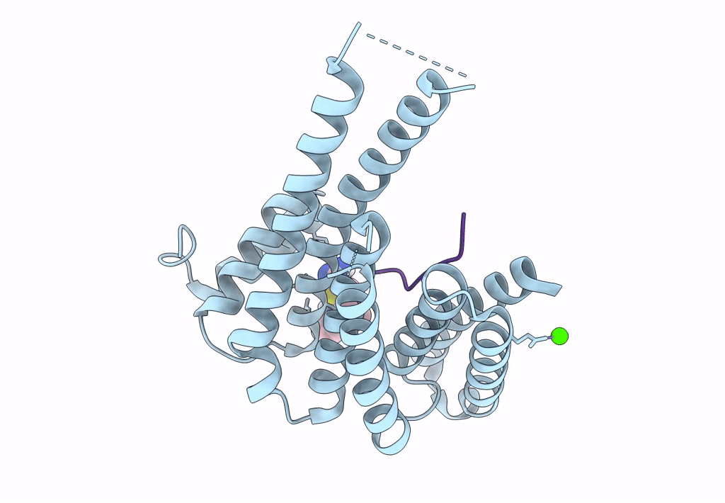 7NN2 image