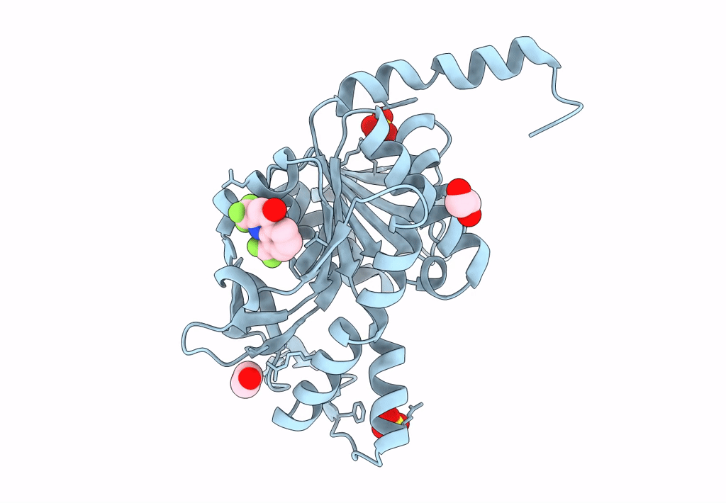 7NNB image