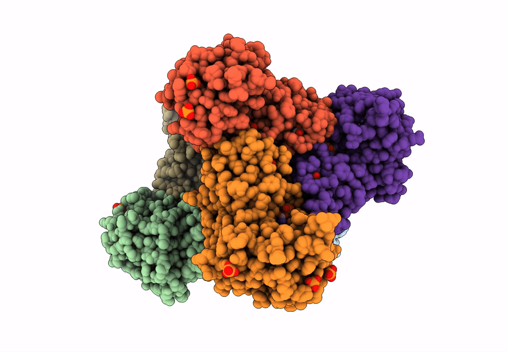 7NNV image