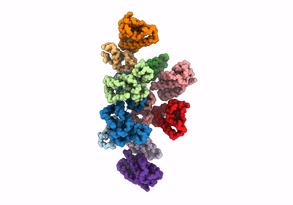 7NO6 image