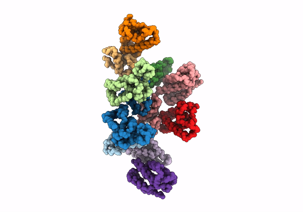 7NO8 image