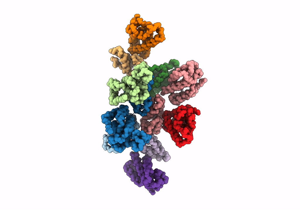 7NO9 image