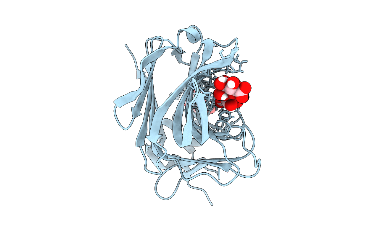 7NPP image