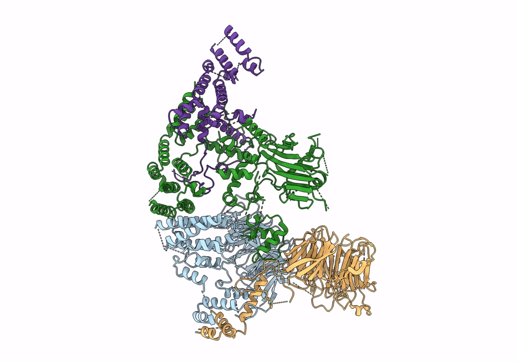 7NSB image