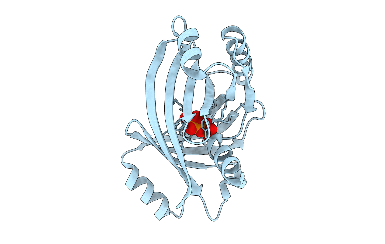 7NSF image