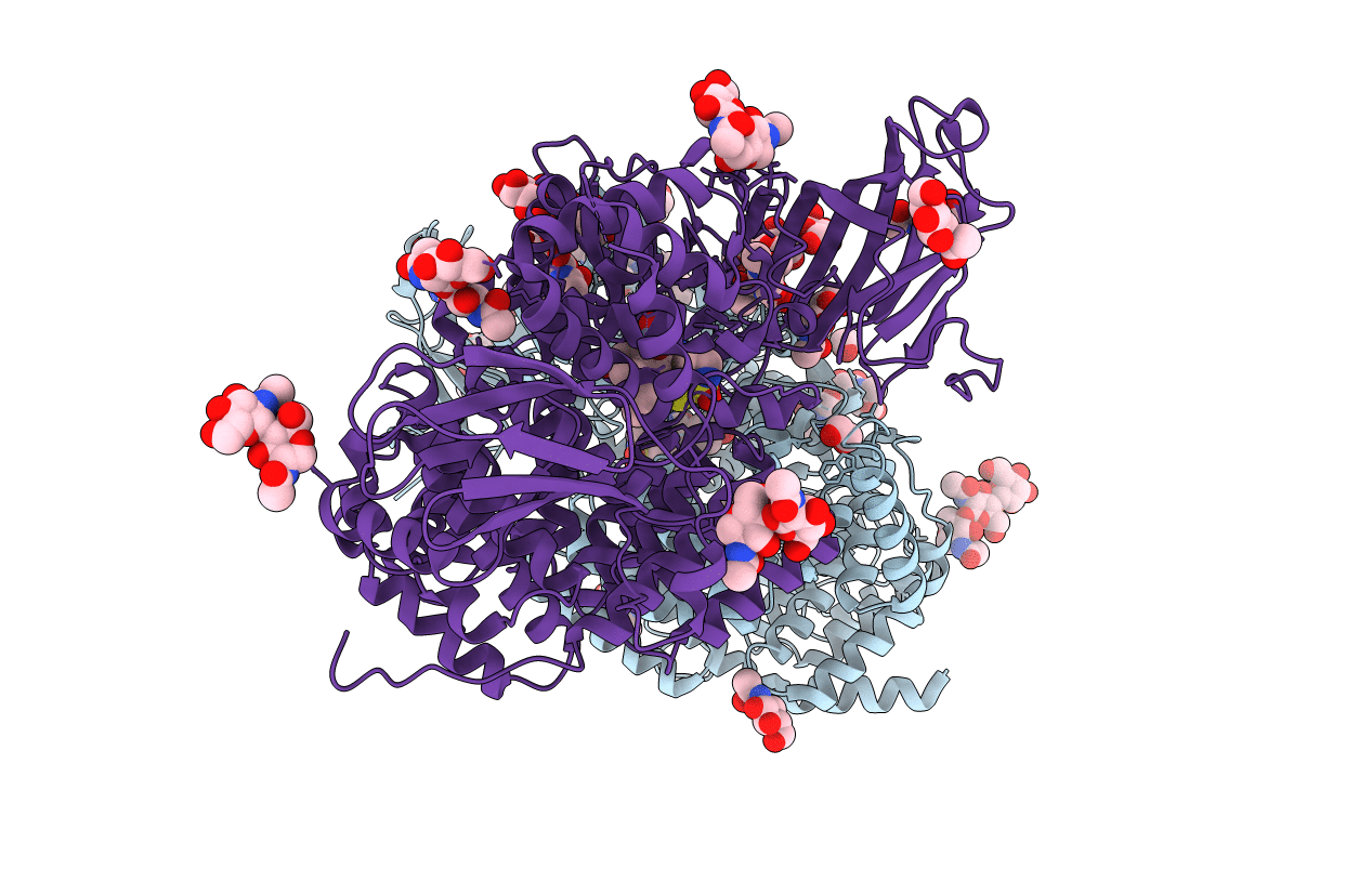 7NSK image