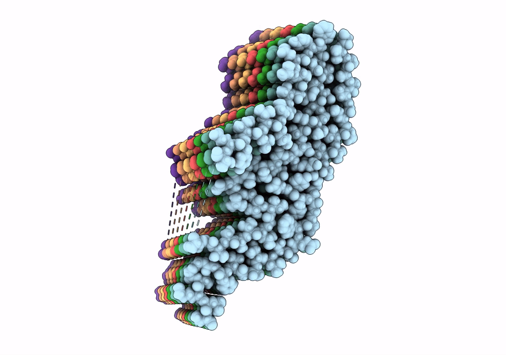 7NSL image