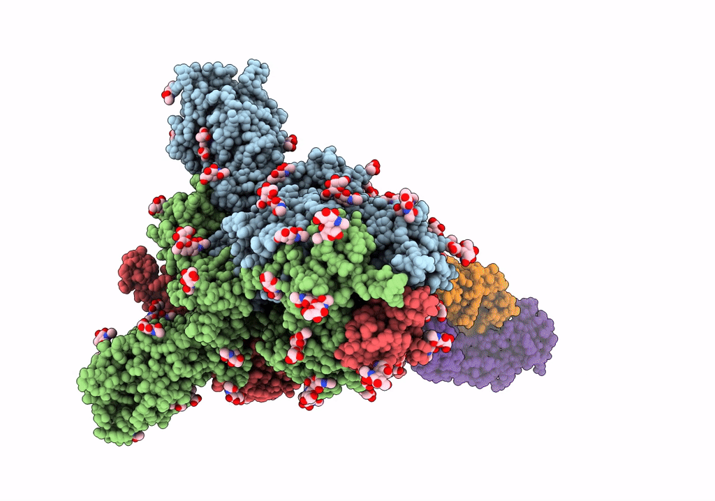 7NTC image