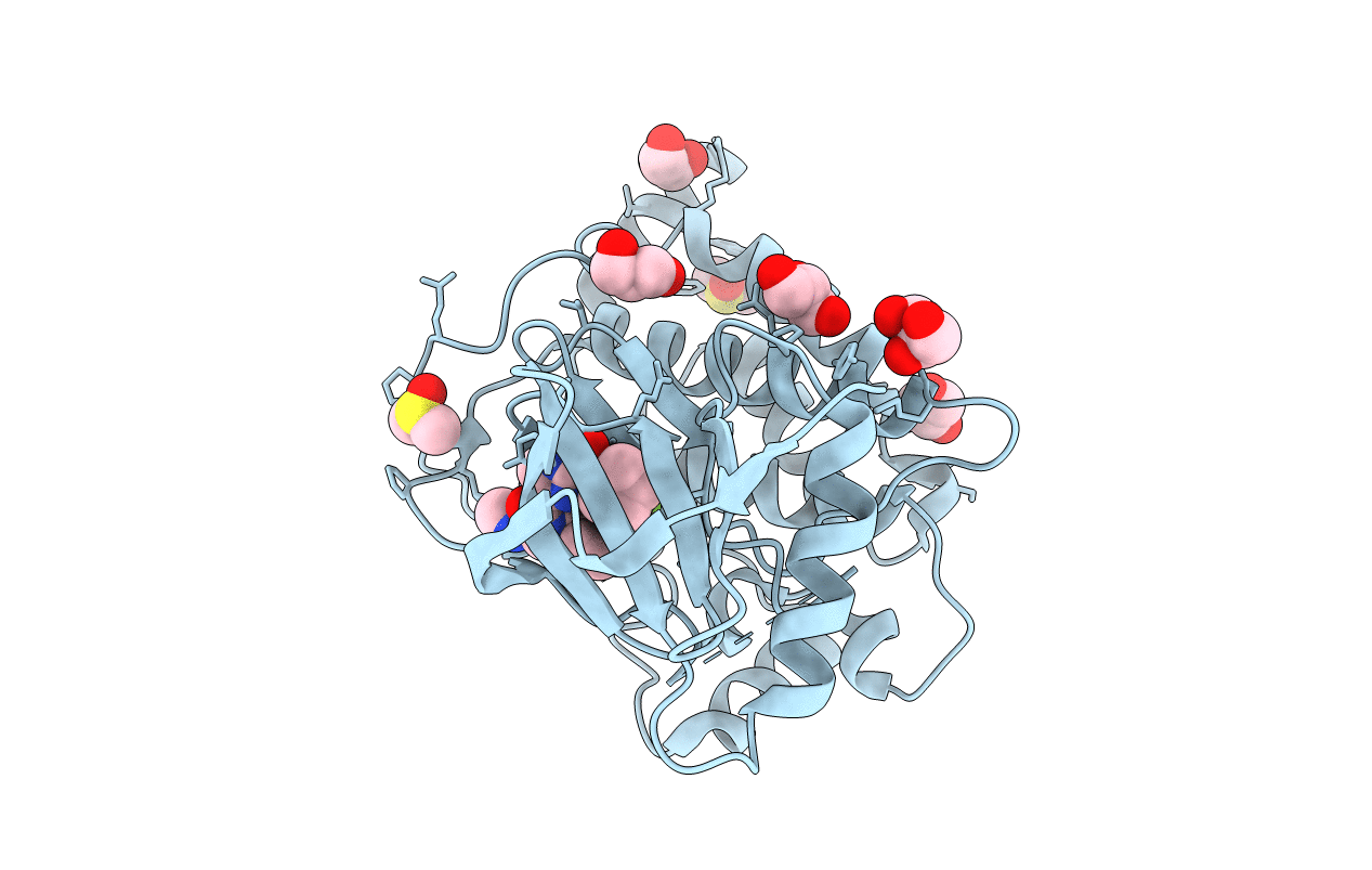 7NTI image
