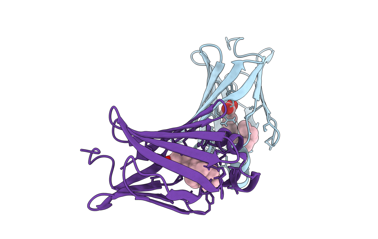 7NTP image