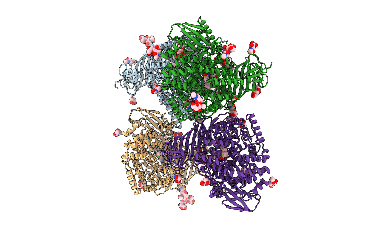 7NUP image