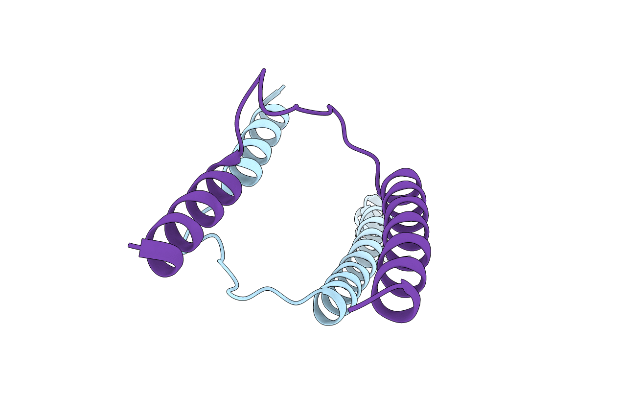 7NUV image