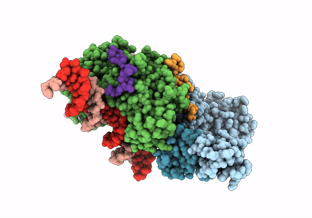 7NVV image