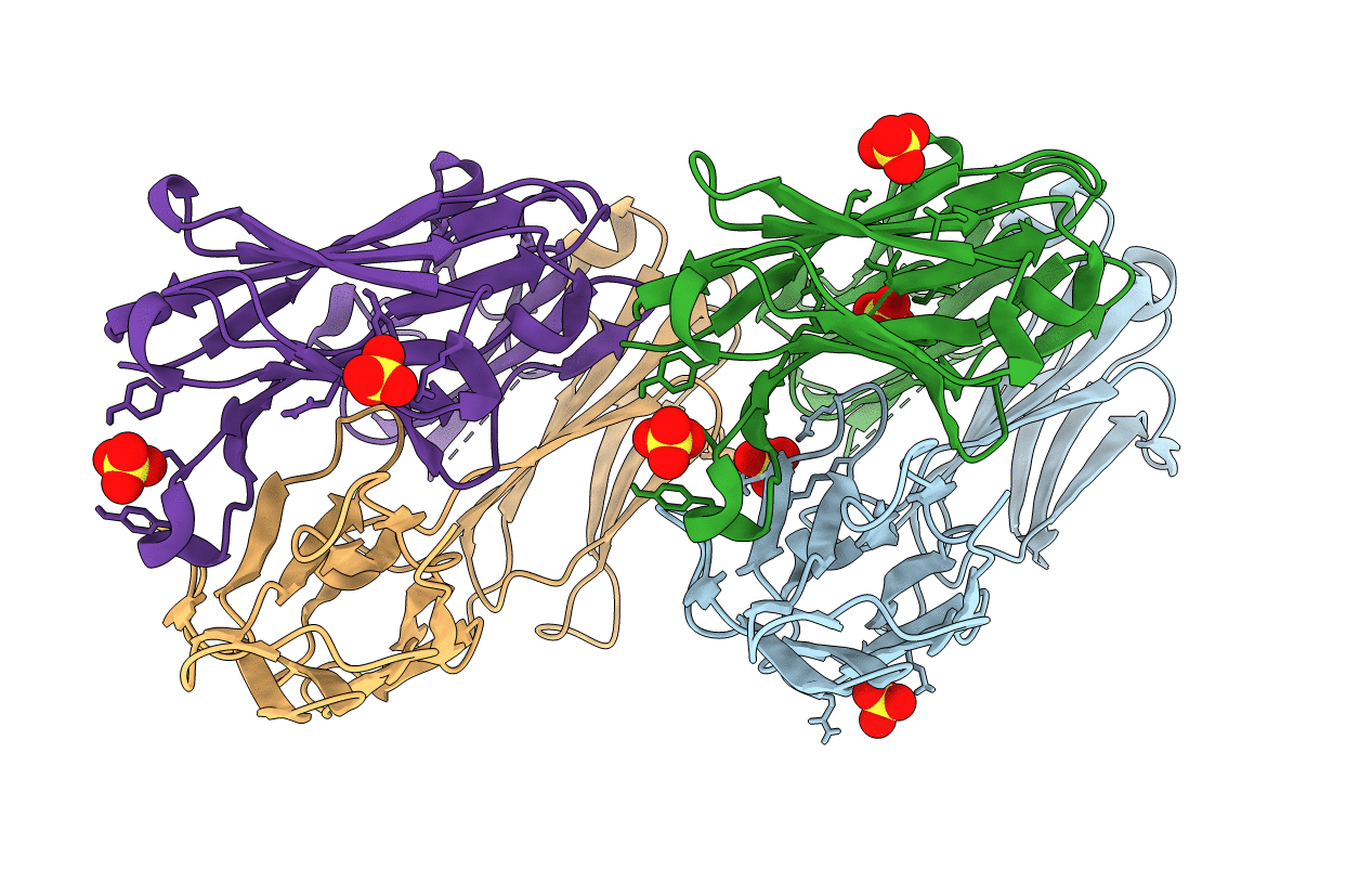 7NX2 image