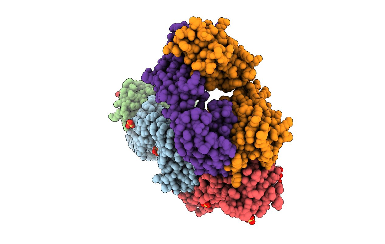 7NX7 image