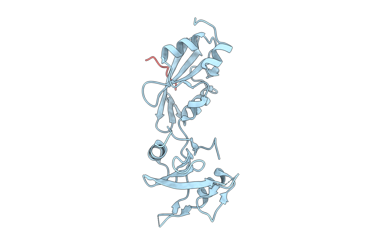 7NXE image