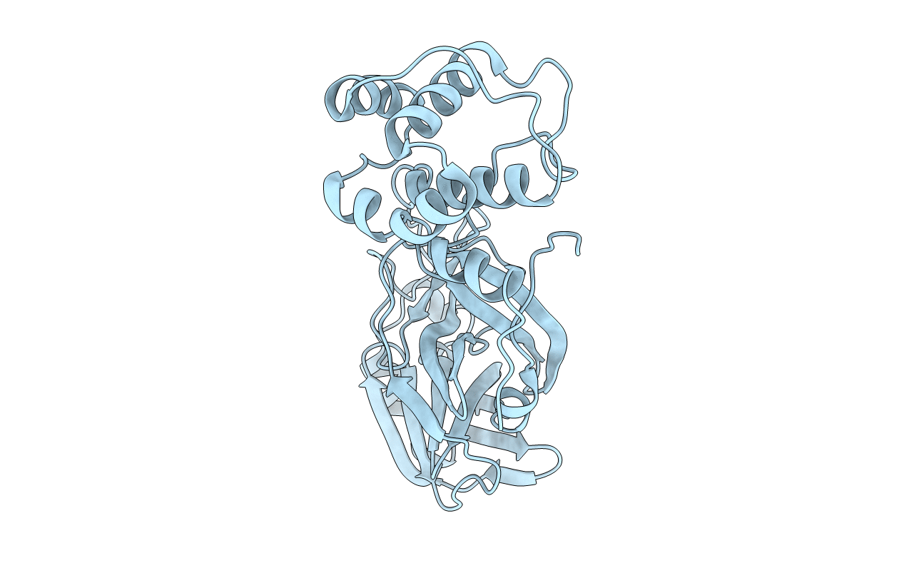 7NXH image