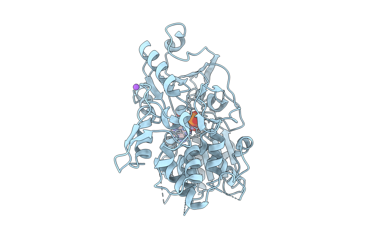 7NXU image