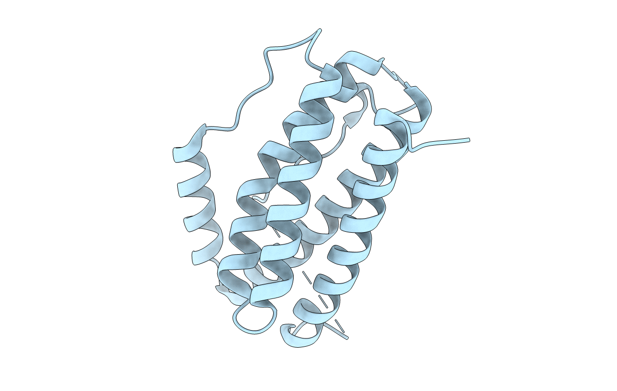 7NXZ image