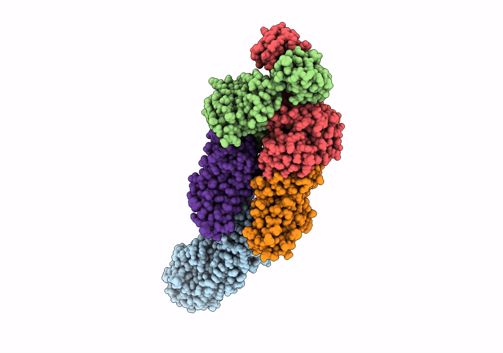 7O10 image