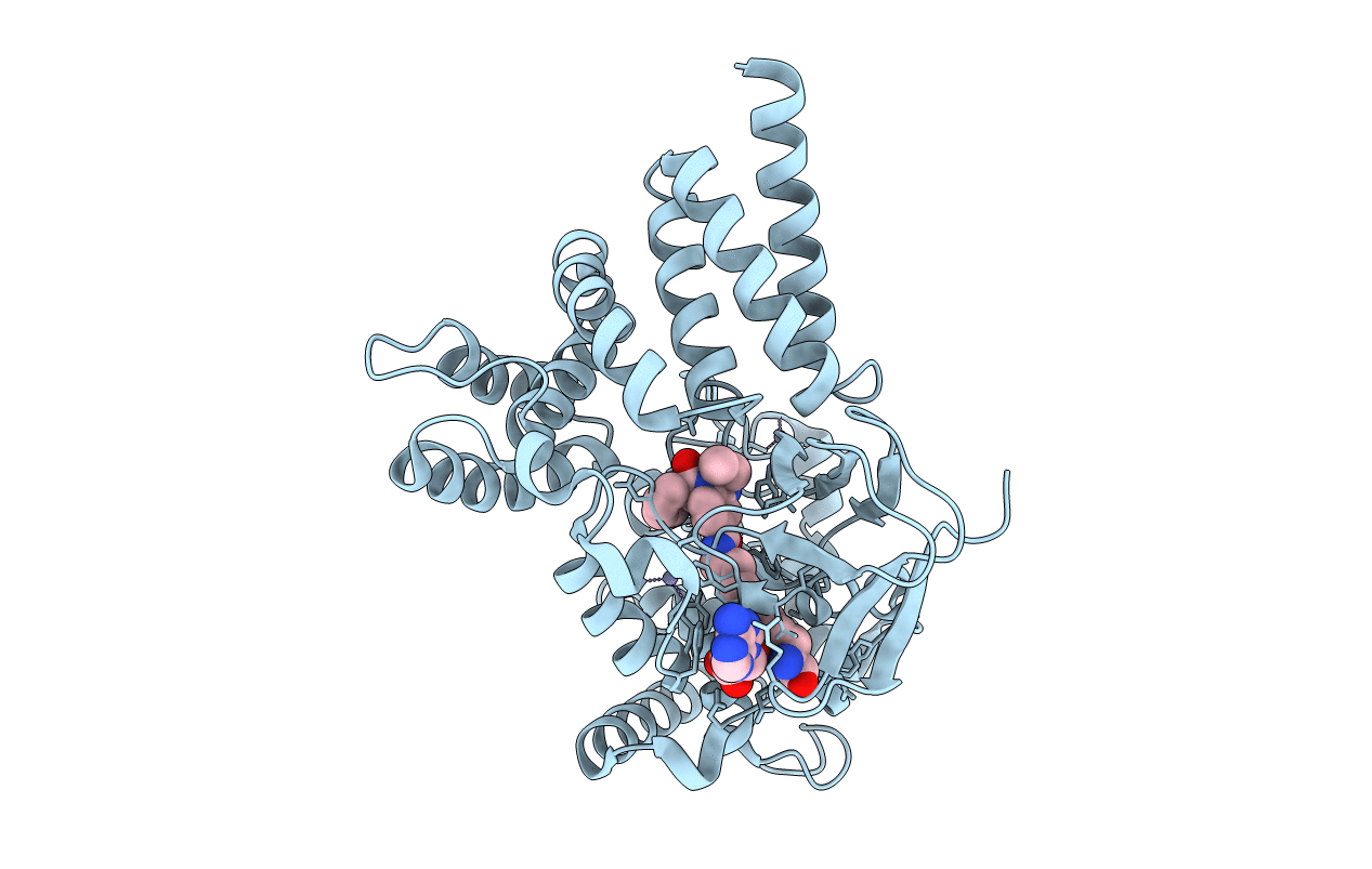 7O2B image