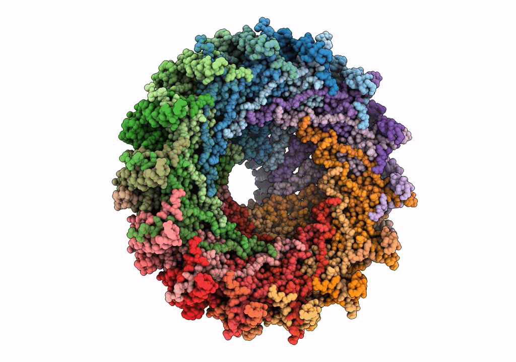 7O3J image