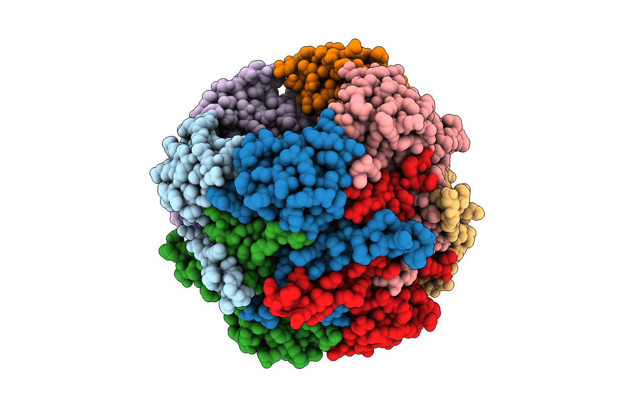 7O74 image