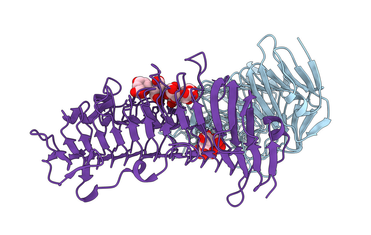 7O84 image