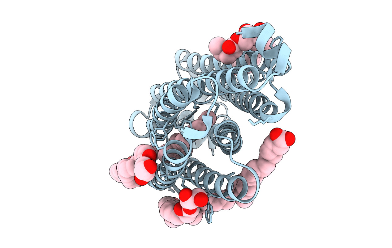 7O8J image