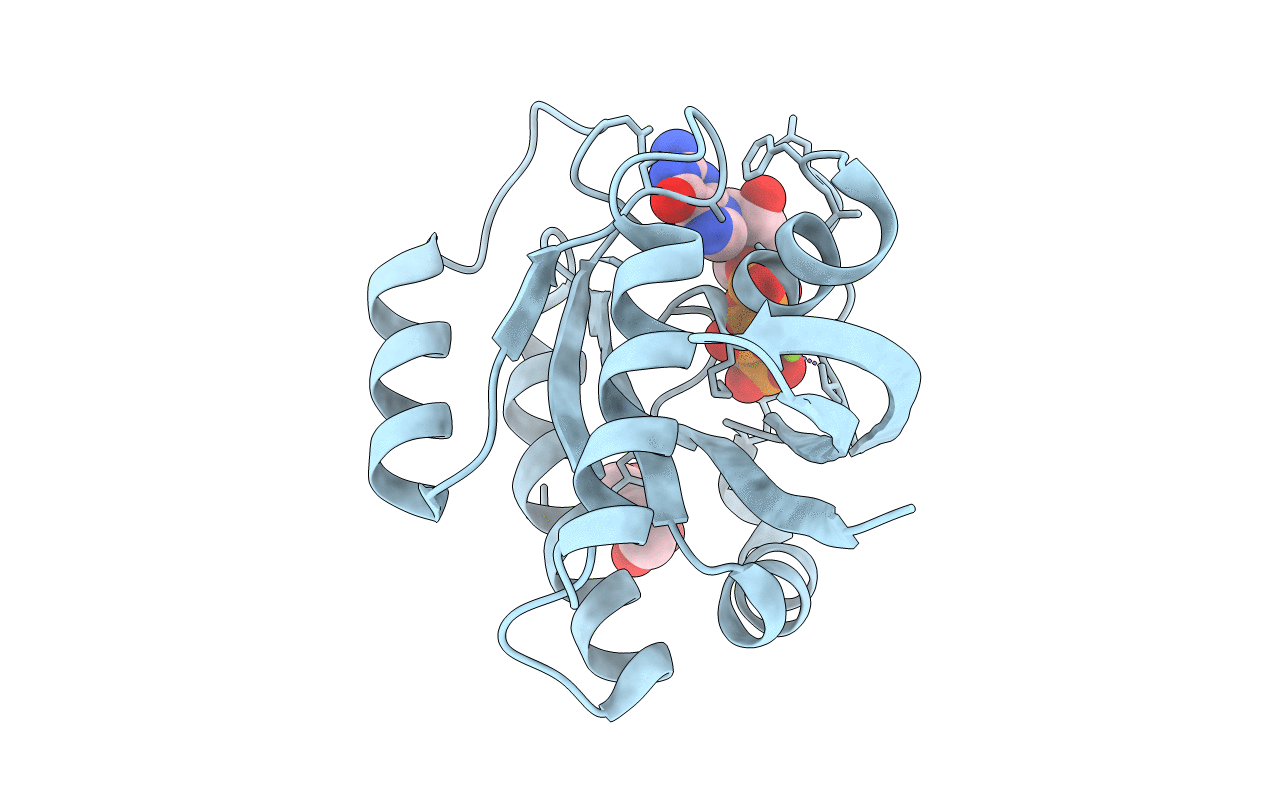 7OGD image