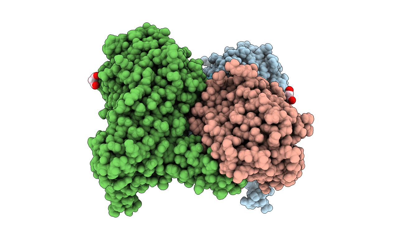 7OKP image