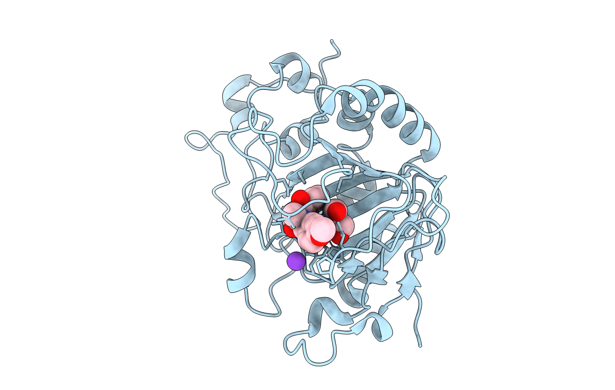 7OLT image