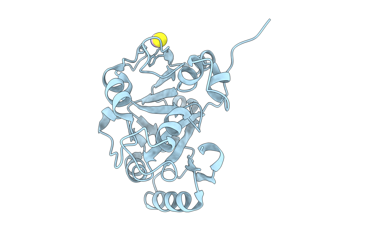 7OMV image