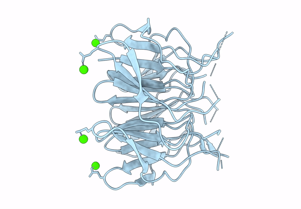 7ONA image